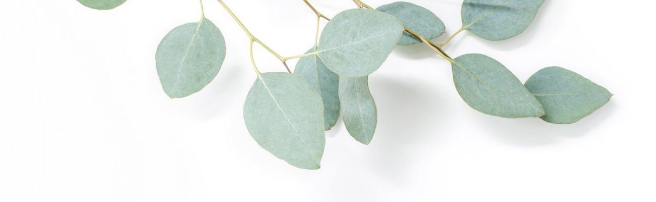 Leggera-corso-online-decluttering-oggetti-mente-silvia-lanfranchi-mindset-coach-4